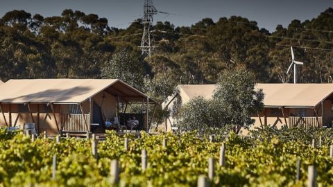 glamping vineyard yala